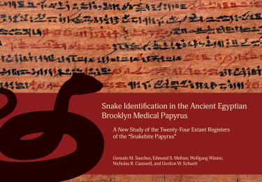 Snake Identification in the Ancient Egyptian Brooklyn Medical Papyrus